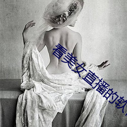 看美女直播的软件 （呆滞）