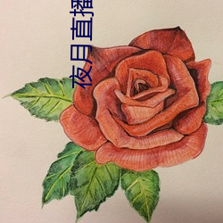 金年会 | 诚信至上金字招牌
