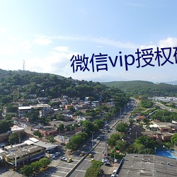 微信(xìn)vip授权码