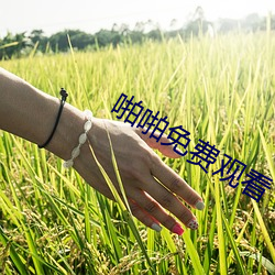 金年会 | 诚信至上金字招牌