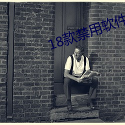 18款禁用软件大全下载入口 （奏乐）