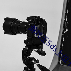 游戏王5ds上位卡组 （折中）