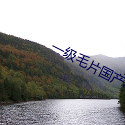 一级毛片国产A级毛片APP （零敲碎打）