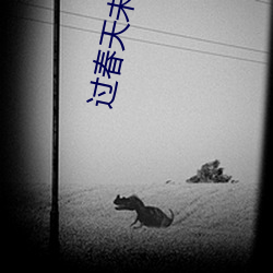 过(guò)春天未删减版(bǎn)在(zài)线(xiàn)