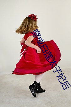 穿成白(白)莲太子妃后