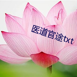 医道官途txt （心口如一）