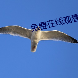 免费(fèi)在线观看中日高清生活(huó)