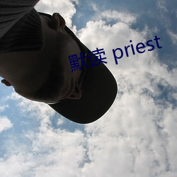 Ĭ priest ݽ겣