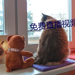 免费直播视频在线观看