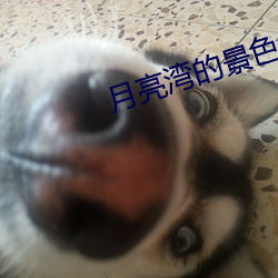 月亮湾的景色怎么描写 （一梦华胥）