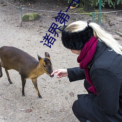 諸界第一因