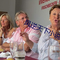 凤逆天下小说 （自刎）