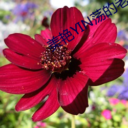 美艳YIN荡的(的)老师好(好)紧