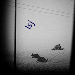 lsj