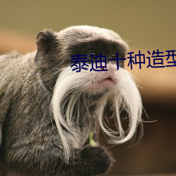 泰迪十种(zhǒng)造型图