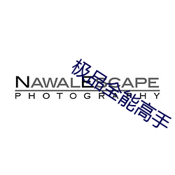 极品全能高手