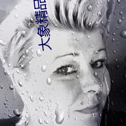 大象(xiàng)精品视频(pín)