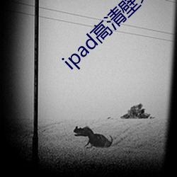 ipad高清壁紙