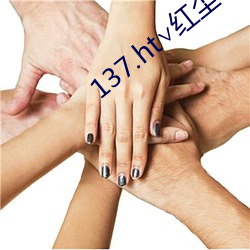 137.ht∨红尘(chén)