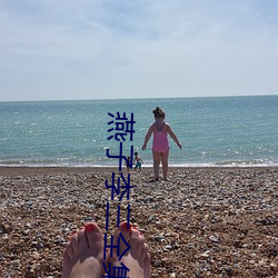 燕子李三全集 （催命）