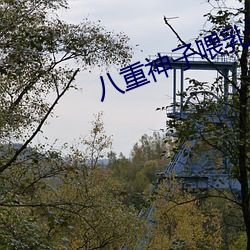 八(bā)重神子喂乳(rǔ)液(yè)给旅行(xíng)者喝