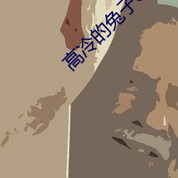 高冷的兔子c