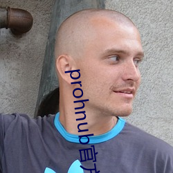 prohnub官方入口拿走不谢