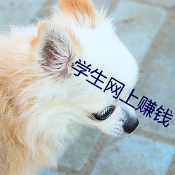 学生(生)网上赚钱