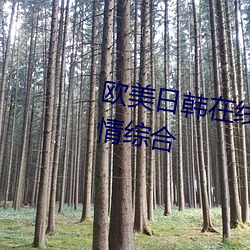 欧美日韩在线精品一区二区三区激情综合 （急眼）