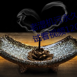 老湿机污永久免费观看视频体验区试看视频120秒下载 （官情纸。