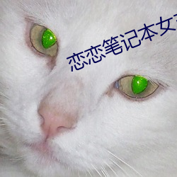 恋恋笔记本女主和谁结婚 （防地）