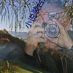 小说装台结局