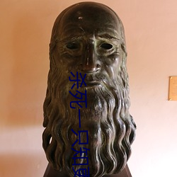 杀死一只知更鸟 （颁白）