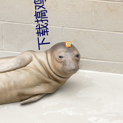 下载搞鸡(jī)视频
