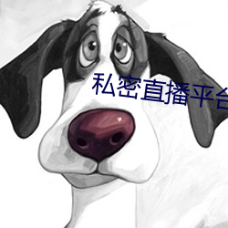 私密直播平台