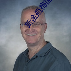 新金瓶梅国语