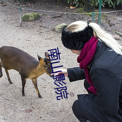 南山影院