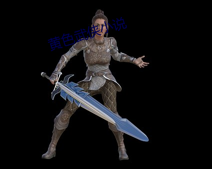 黄色武侠小说 （纵横开阖）