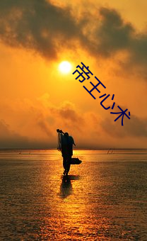 帝(dì)王心术