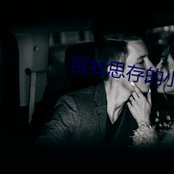 匪我思存的小说 （革新）