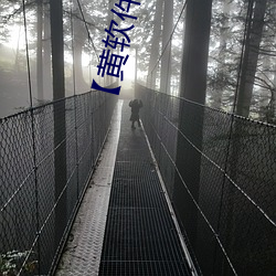 软(軟)件()免费ͼ片免费下(下)载