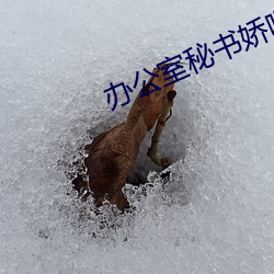 办公室秘书娇喘呻吟在线视 得宜）