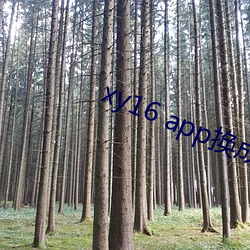 xy16 app换成(chéng)什么了(le)