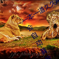 一本一道久(久)久(久)A久久(久)精品综合(合)蜜桃:一款会自动(動)备(備)份(份)观(觀)影(影)记(記)录的