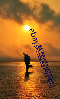 ebay美国官网网(網)址