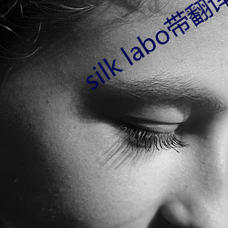 silk labo带翻译(1