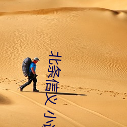 北條信義 小說