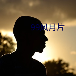 99风月片 （折桂）