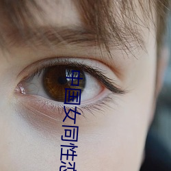 中国女同性恋 （打躬作揖）