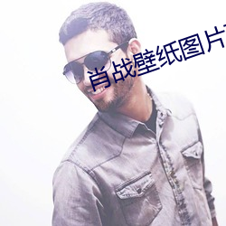 肖战(戰)壁纸图片(片)高清